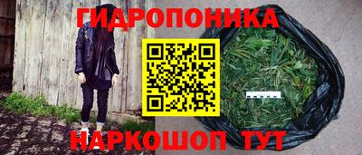 индика Изобильный