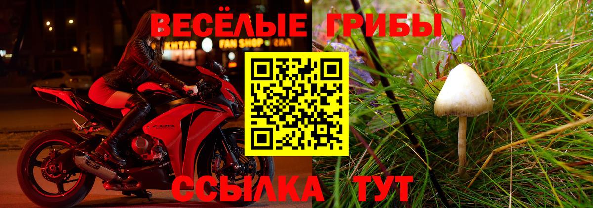 Галлюциногенные грибы MAGIC MUSHROOMS Лобня